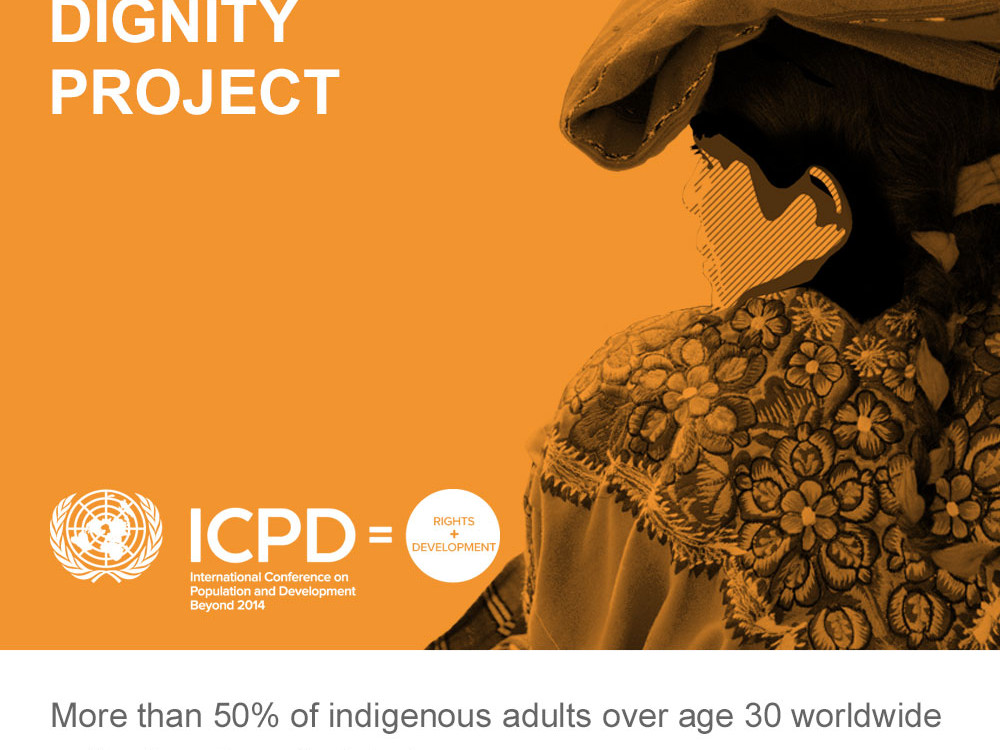 infographic for I.C.P.D. U.N.F.P.A The Dignity Project